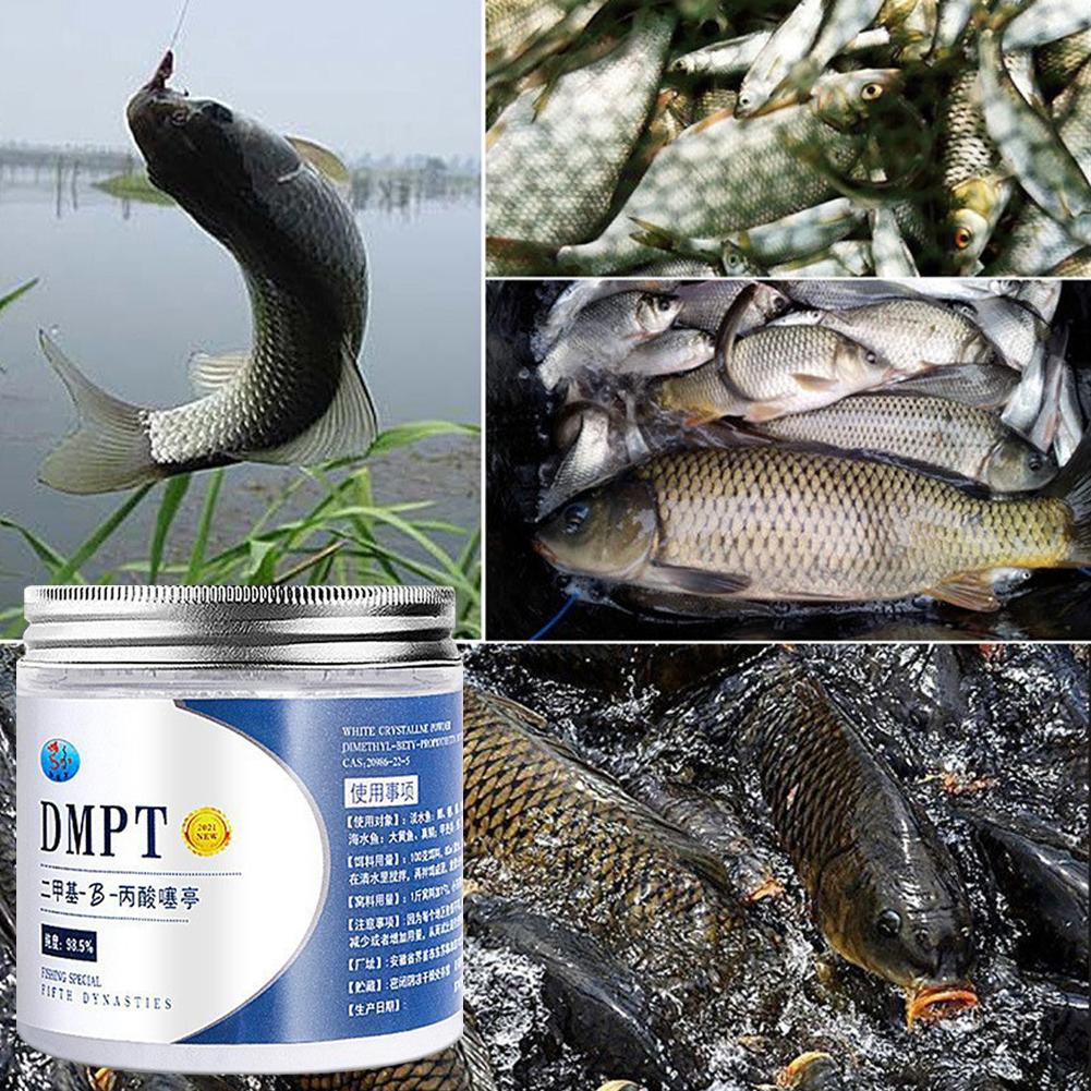 50g Real DMPT High Purity Fish - Fishing Equipment For Sale 评论和价格